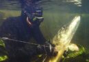 Подводная охота в Нижегородской области