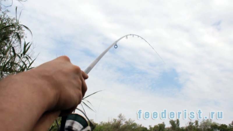 От чего зависит успех в любительской рыбалке на фидер?