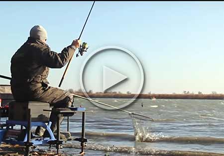 Видео: ловля карася поздней осенью